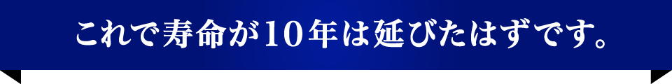 これで寿命が10年は延びたはずです。